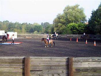 Willowbrook Riding Centre Чичестър Екстериор снимка